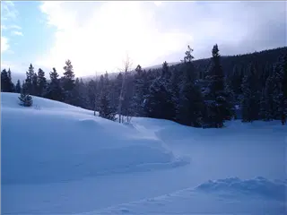 small_Breck2008 040.webp